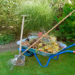 Do You Really Need to Clear Your Lawn of Twigs, Leaves, and Other Debris Every Spring and Fall?